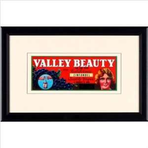  Phoenix Galleries LM2 Valley Beauty Framed Print
