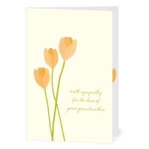  Sympathy Greeting Cards   Tulip Facade By Night Owl Paper 