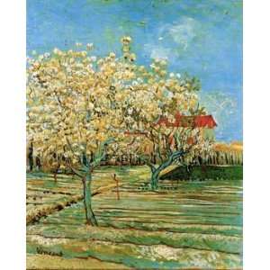  12X16 inch Van Gogh Canvas Art Rep Orchard in Blossom by 