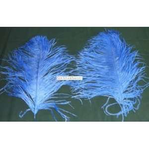 Ostrich~5 Mini Wing Ostrich Plumes Royal Blue Ostrich Feather 10 13 