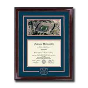  Auburn Tigers #13 Stadium Diploma Frame: Sports & Outdoors