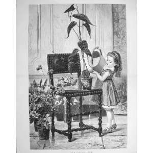  1875 Inundation Little Girl Watering Plants Chair