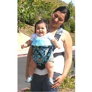  Blue Champagne Slipcover Fits Baby Bjorn Active: Baby