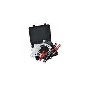  DieHard Platinum 450A Booster Cables Kit Automotive