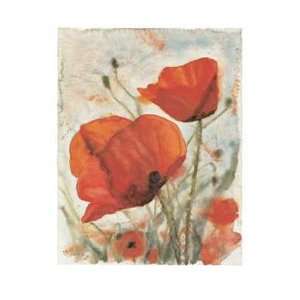   Poppies I Finest LAMINATED Print Dieter Hecht 24x32
