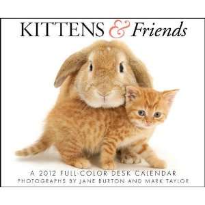  Kittens & Friends 2012 Desk Calendar