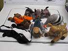Ty Beanie Baby Lot of 6   Wildlife Collection