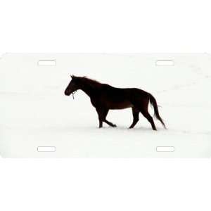  Rikki KnightTM Black horse on white snow Cool Novelty License Plate 