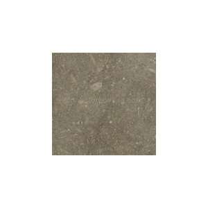  Honed Limestone Tile   18 X 18 Seagrass Limestone Tile   Honed 