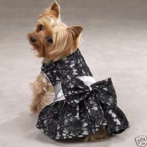 Zack & Zoey SILVER Fancy Lace & Satin Dog Dress MEDIUM:  