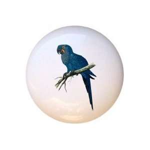  Birds Hyacinth Macaw Drawer Pull Knob