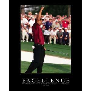 Tiger Woods 16X20 Motivator   Excellence  Sports 