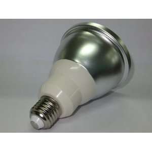   PAR30 LED Light Bulb Replaces 75 Watt Incandescent
