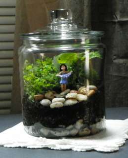 Woodland Fairy Terrarium Kit~Glass Jar~Choice of Fairy~everything 