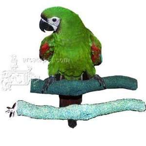  Sandy Manzanita Bird Perch Medium: Pet Supplies
