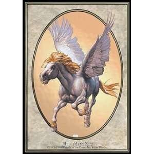  Magic the Gathering Pegasus   Unglued Toys & Games