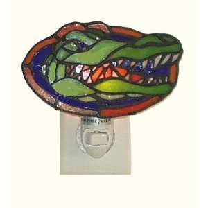  Florida Gators Leaded Stained Glass Nite Light: Everything 