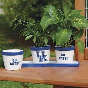  Kentucky Wildcats Set of Three Flower Pots with Tray 