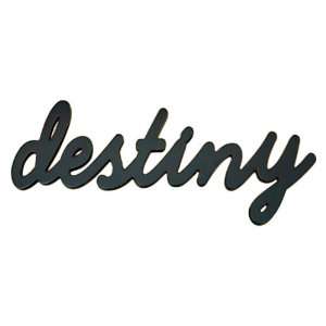  Wood Sign Decor for Home or Business Word DESTINY 