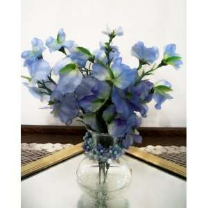 April Birth Month Flower   Blue Sweet Pea: Home & Kitchen