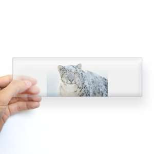  Bumper Sticker Clear Snow Leopard HD Apple: Everything 
