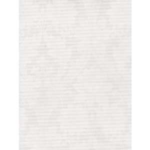  Norwall Foil Toile Wallpaper CS27369