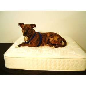  Luxury Innerspring Dog Bed 38x40
