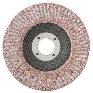  Cgw abrasives Flap Discs   43101 SEPTLS42143101