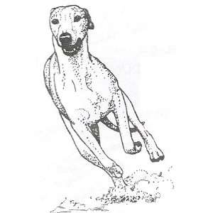  Dog Rubber Stamp   Whippet   WHIP 5E: Office Products