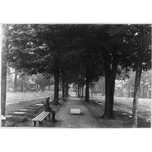   Moravian cemetery,Bethlehem,Pennsylvania,PA,boy,bench