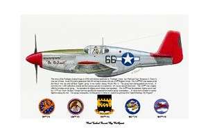 Tuskegee Airmen Print BO Davis Red Tail P 51 By ReQuest  