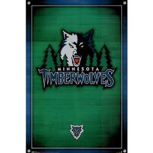   Minnesota Timberwolves (New Logo) Sports Poster Print