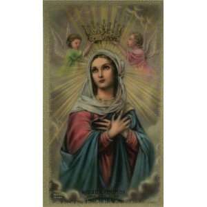  Hail Holy Queen Laminated Prayer Card: Toys & Games