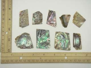 ASSORT LARGE ABALONE SHELL BLANK INLAY MATERIAL 1 POUND #6001A  