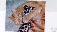 SPOILED CAT 1 FURRY Organic catnip body pillow  