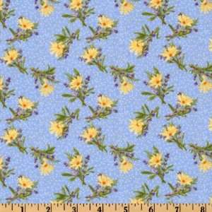  44 Wide Simple Pleasures Daisy Toss Blue Fabric By The 