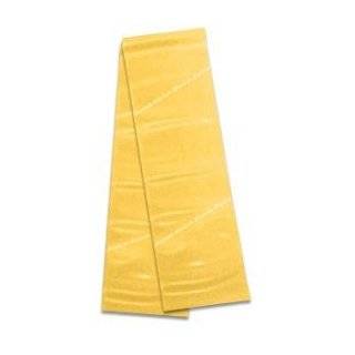   20520 Single Pack Latex Exercise Bands,Thin, Yellow, 5 Inch X 5.5 Inch