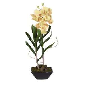 Vanda w/Black Vase Silk Flower Arrangement 
