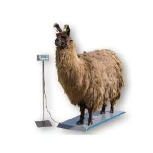  Salter Brecknell PS1000 Veterinary 1000lb Scale Office 