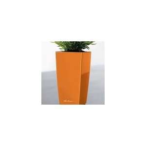  All in One Mini Cubi Orange Planter   7 inch Patio, Lawn 