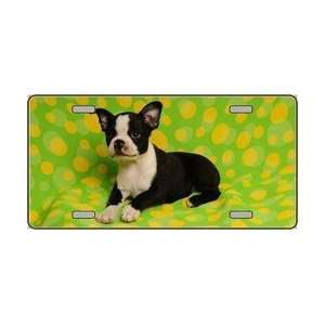 Boston Terrier Dog Pet Novelty License Plates Full Color Photography 