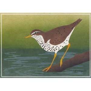  Spotted Sandpiper, Note Card, 6.25x4.5