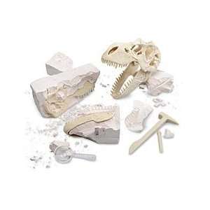    Geoworld T Rex Dinosaur Skeleton Excavation Kit: Toys & Games