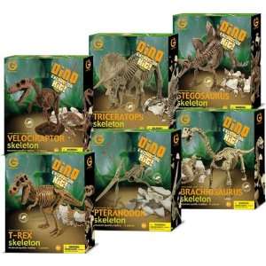   : Geoworld Dinosaur Excavation Kits (Complete Set Of 6): Toys & Games