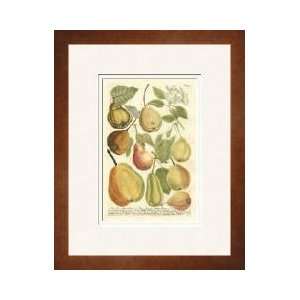  Plentiful Pears Ii Framed Giclee Print
