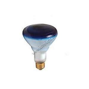   Energy Light Bulb / Lamp Osram Sylvania Pec Satco Westinghouse Z