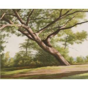 : John Folchi: 30W by 24H : Leaning Tree, 2003 CANVAS Edge #2: 1 1 
