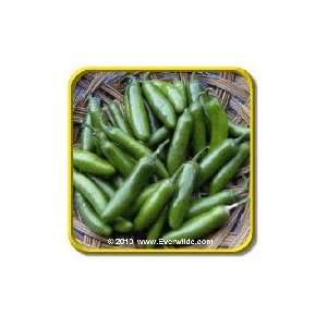  Serrano   Hot Pepper Seeds   Jumbo Seed Packet (50 