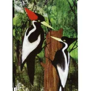  Ivory Billed Woodpecker Patio, Lawn & Garden