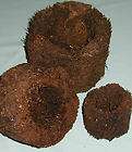 Tree Fern Round Pot 6 inch perfect for orchid plants, and others 